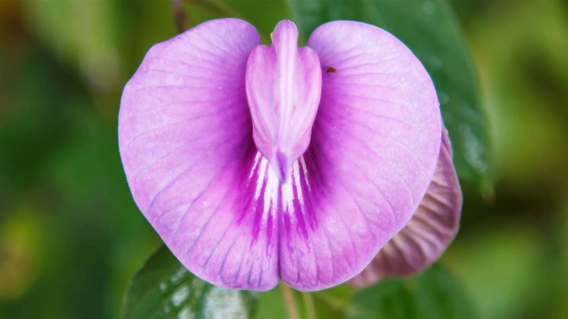 4 Things You Should Never, Ever Do To Your Vagina