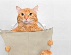 10 Reasons You Always Have To Pee