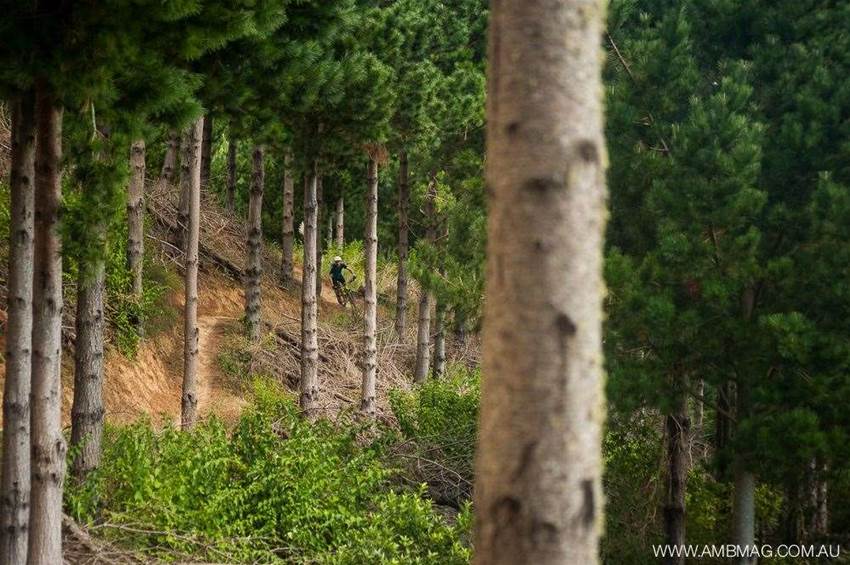 440 mtb park Clearance