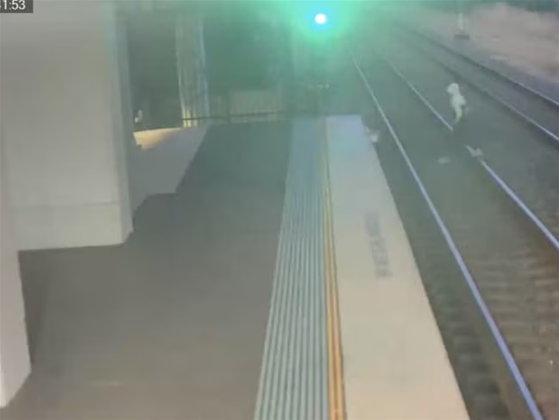 TfNSW's 'Project Guardian' senses rail corridor, highway incursions
