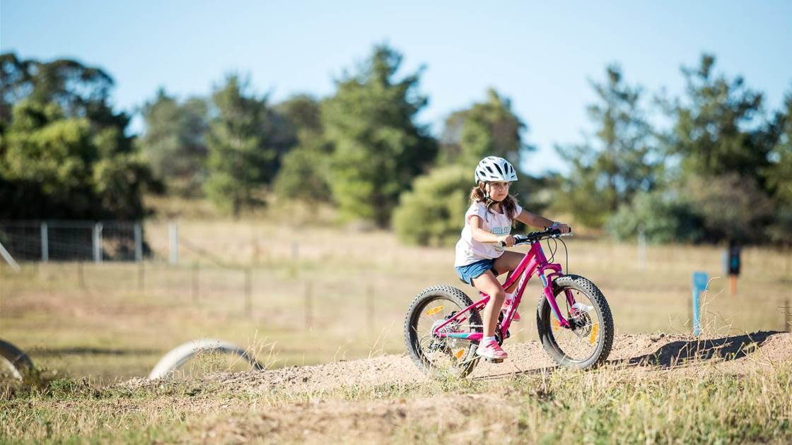 Precaliber 24 8 Speed Suspension Trek Bikes