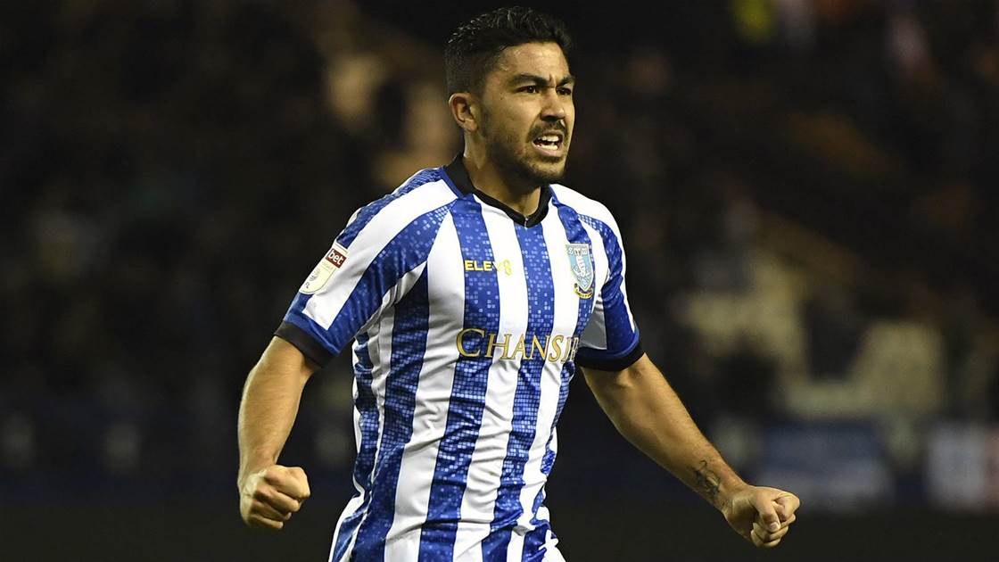 Socceroo Scores In Sheffield Wednesday Win Ftbl The Home Of Football In Australia Socceroo Scores In Sheffield Wednesday Win Ftbl The Home Of Football In Australia