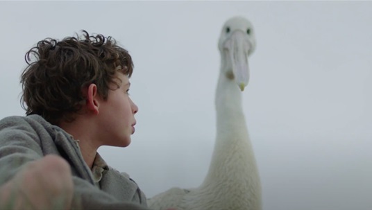 Storm Boy Official Trailer Upcoming Movies 2019
