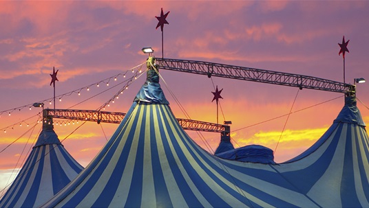 I went to the circus!