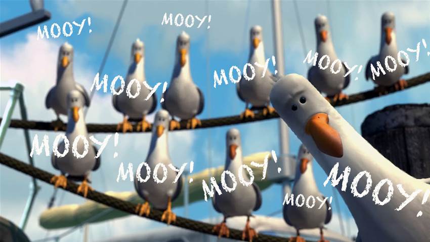 Mooy the Boy - Brighton suddenly realise what they have Mooy the Boy - Brighton suddenly realise what they have