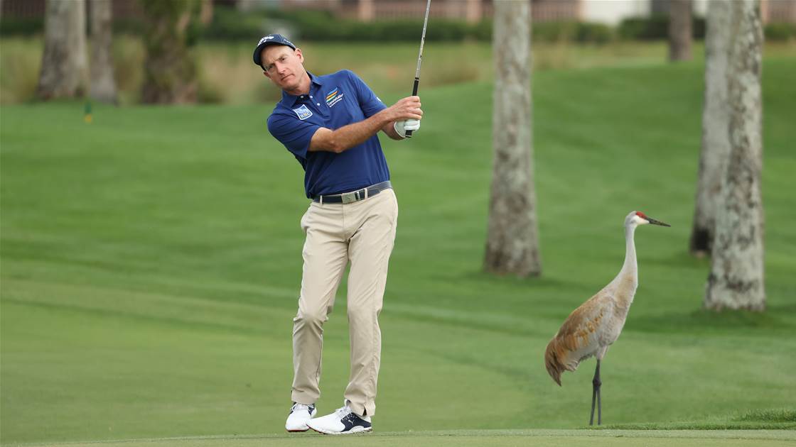 Caption this and WIN a dozen Callaway Chrome Soft balls
