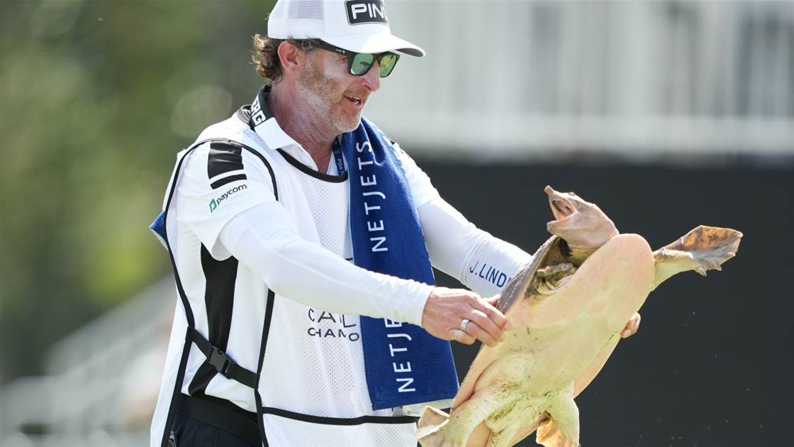 Caption this & WIN a dozen Callaway Chrome Tour balls