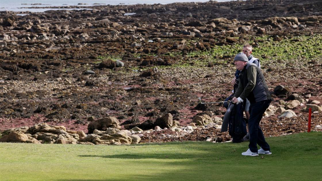 Caption this & WIN a dozen Callaway Chrome Tour balls