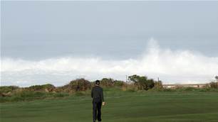 Morri: The Endless Summer