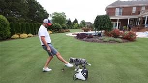 Morri: The parallels of dog ownership and golf