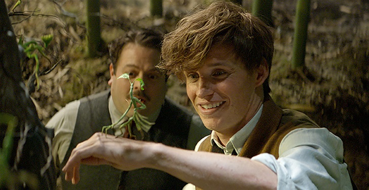 Have you seen Fantastic Beasts and Where to Find Them? Have you seen Fantastic Beasts and Where to Find Them?