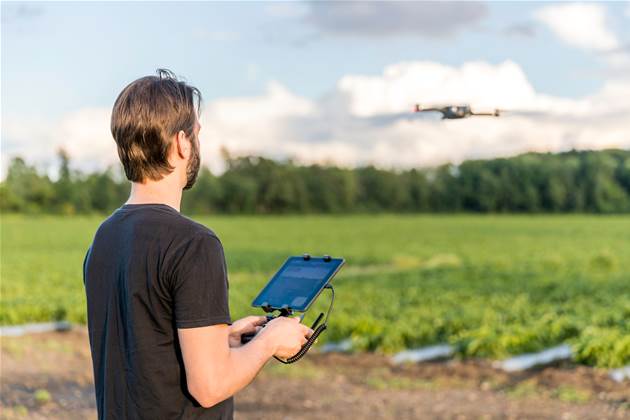 Seven insights that will define your digital transformation success