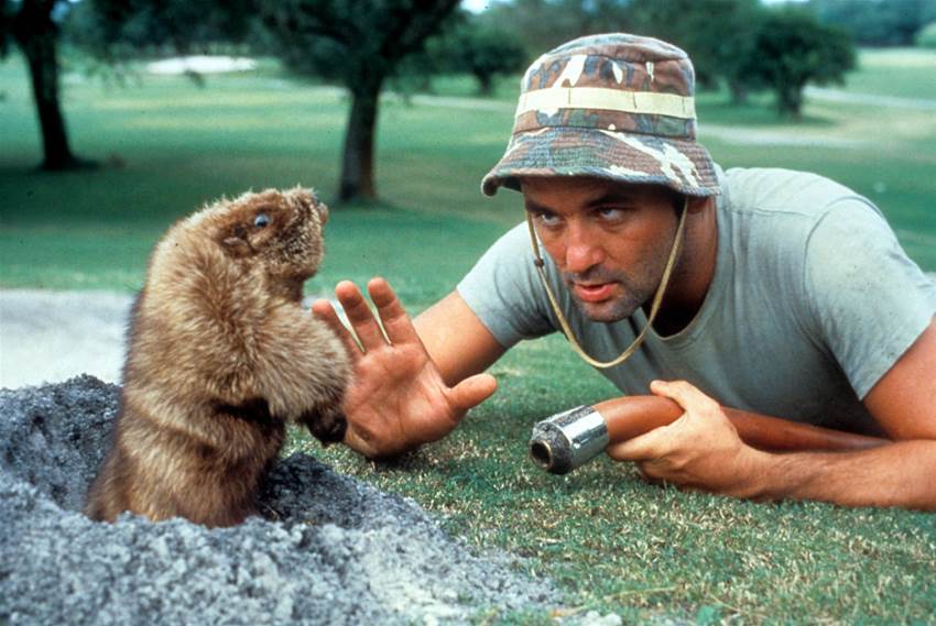 CLEARY: How Caddyshack can save a golfer's mind CLEARY: How Caddyshack can save a golfer's mind