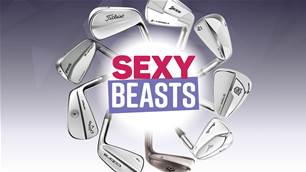 Sexy Beasts