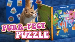 Seeing Purple: Harold Hijinks