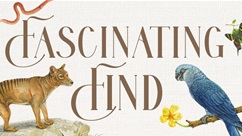 The ULTIMATE Unicorn Academy Quest