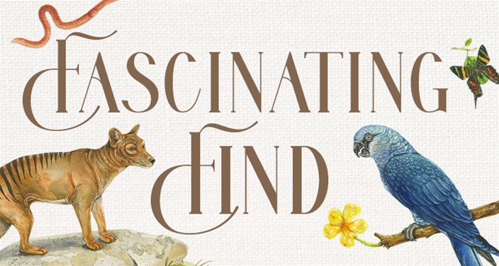 Fantastic find - can you spot these unique animals? Fantastic find - can you spot these unique animals?