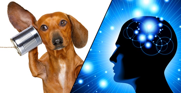 What ability would you rather have? What ability would you rather have?