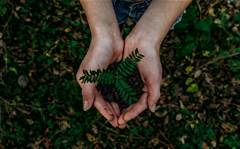Carbon offsetting: What is it and why should small businesses care?