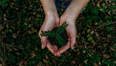 Carbon offsetting: What is it and why should small businesses care?