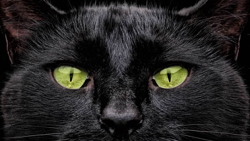 DADDO: Me … superstitious? Not a chance DADDO: Me … superstitious? Not a chance