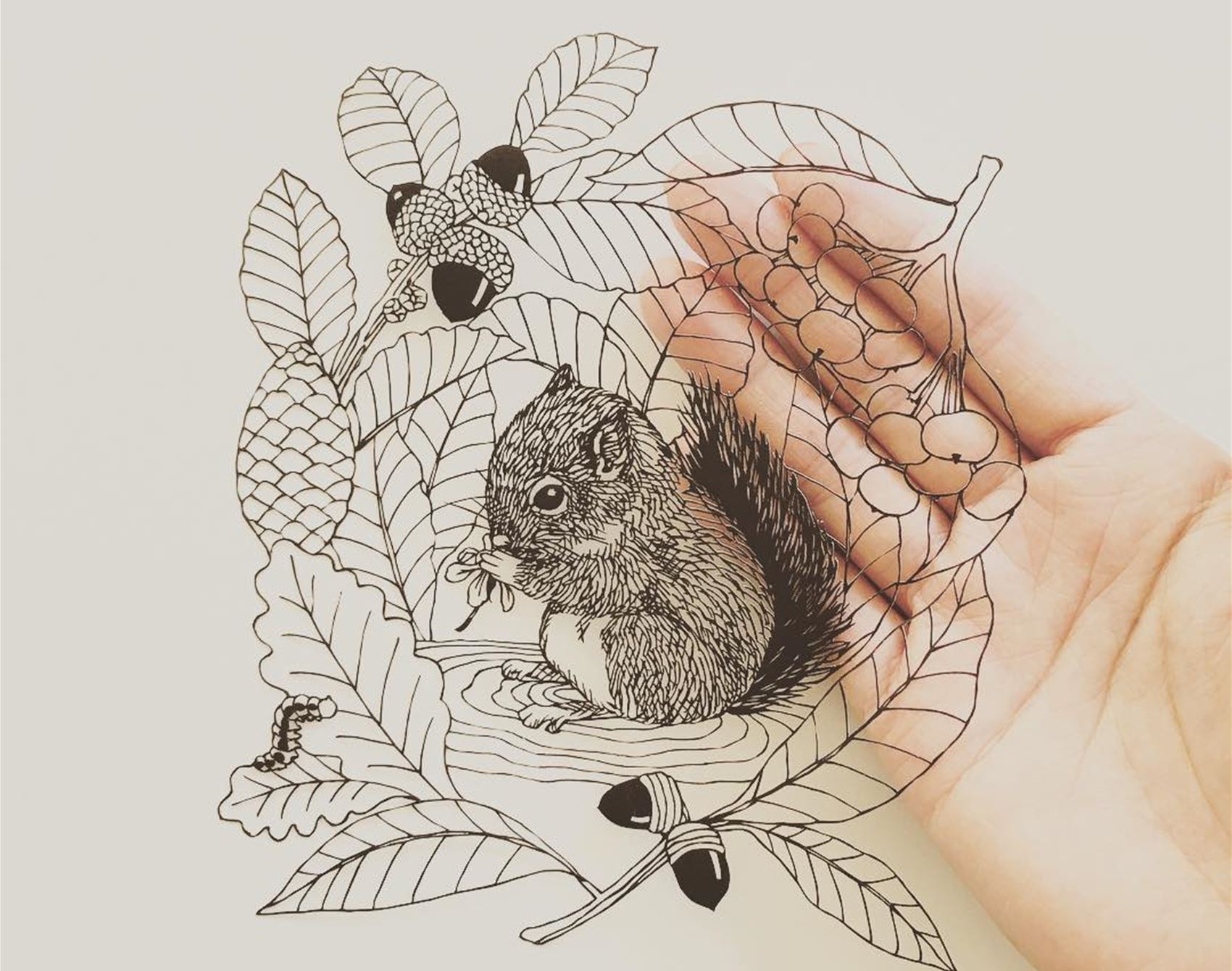 kanako abe’s poetic papercuts