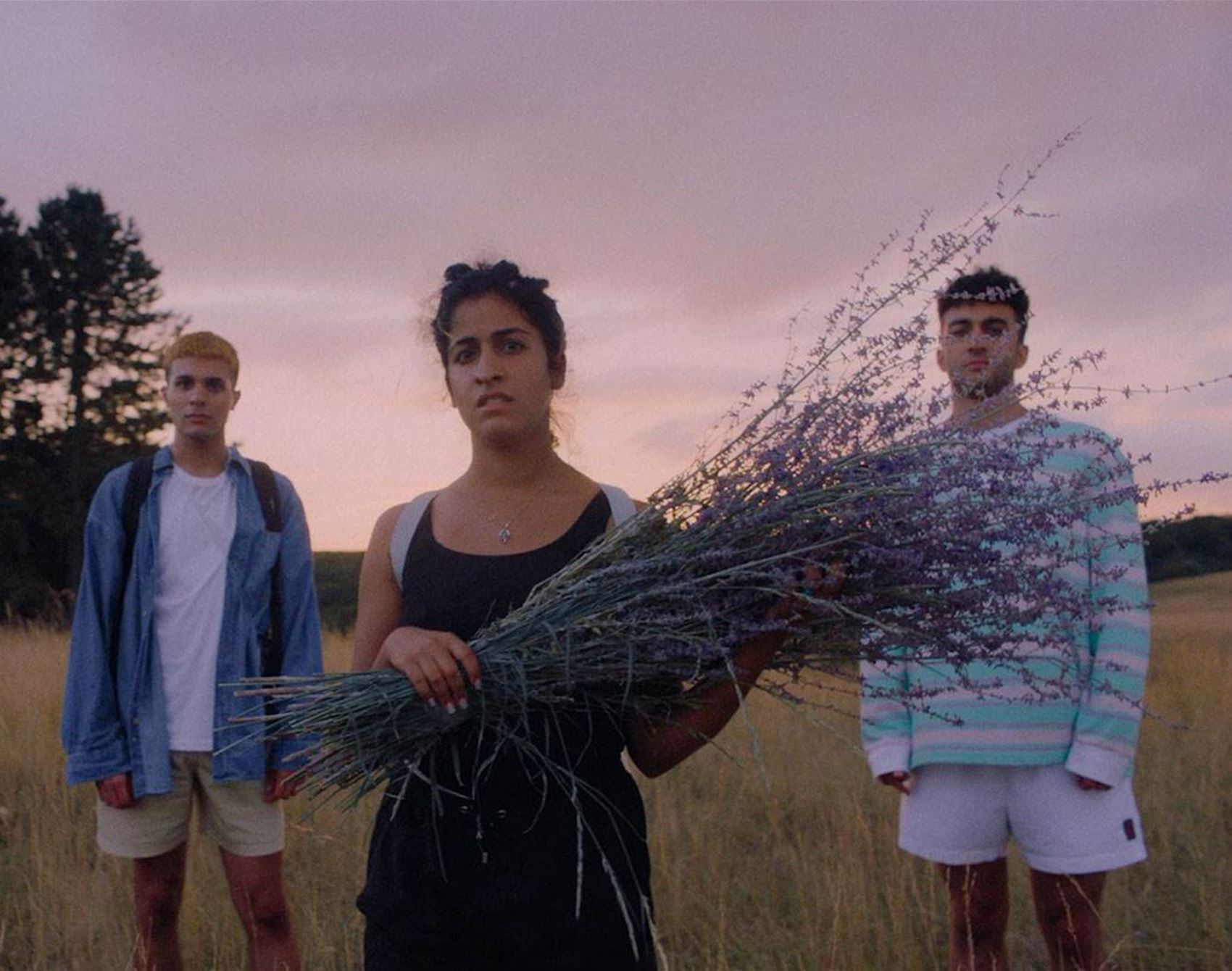 miff is streaming over a hundred top-notch films this august