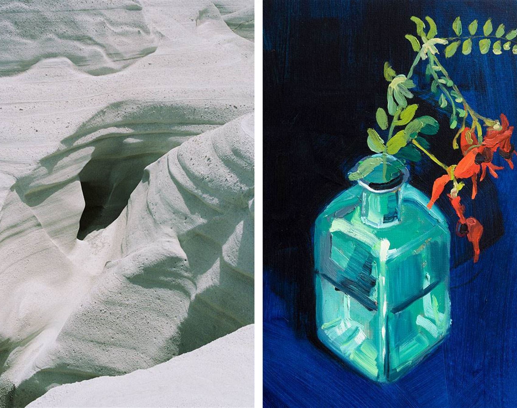 printing in solidarity is selling art prints to support indigenous justice