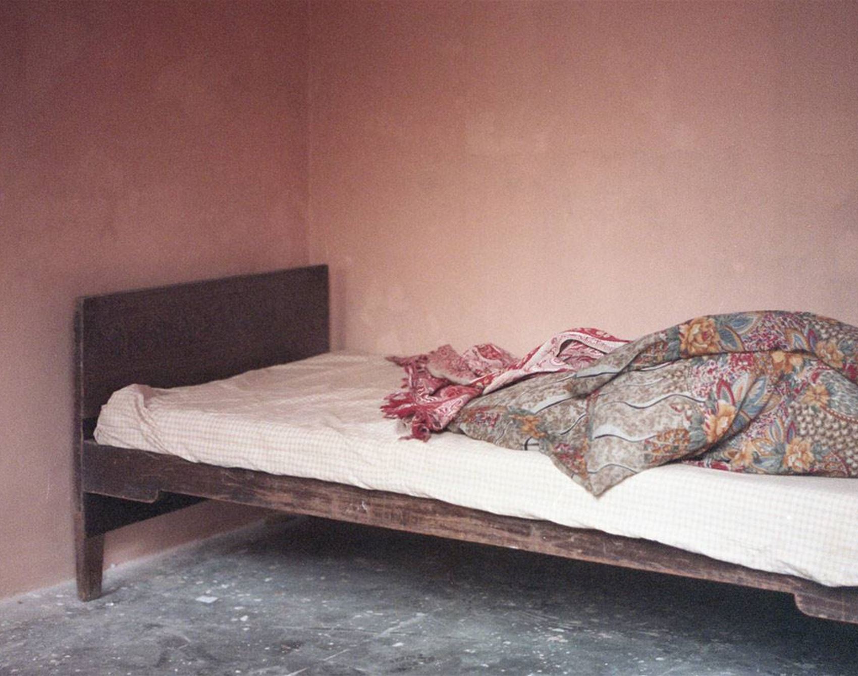 printing in solidarity is selling art prints to support indigenous justice