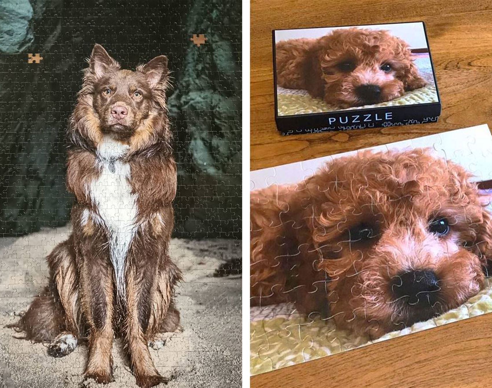 get your pet photos turned into puzzles
