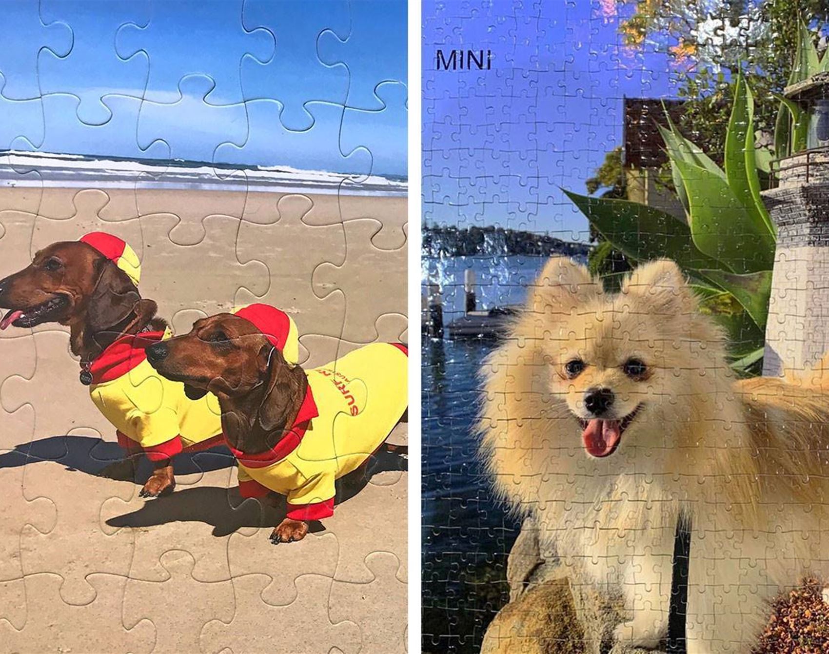get your pet photos turned into puzzles