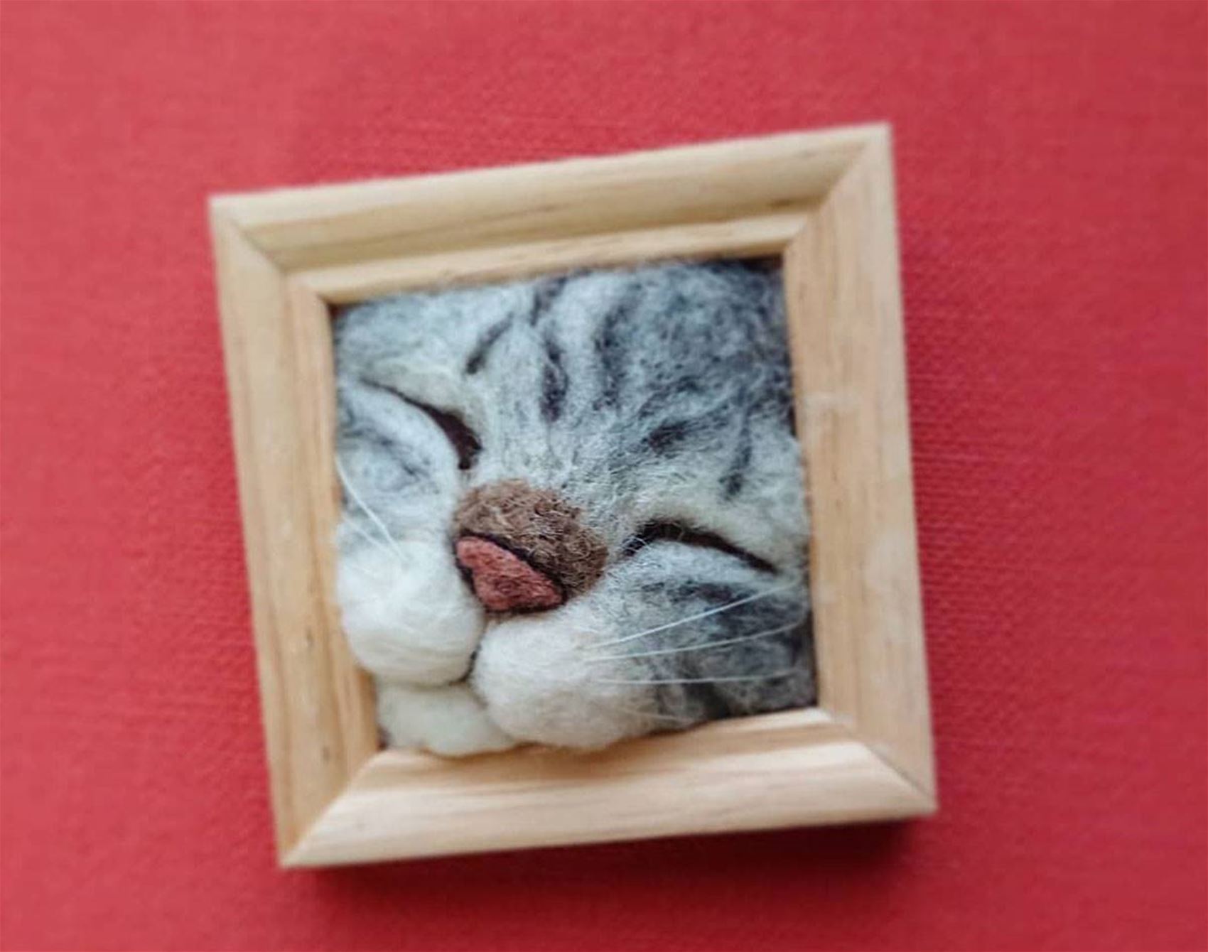 fujita satomi’s curious cats