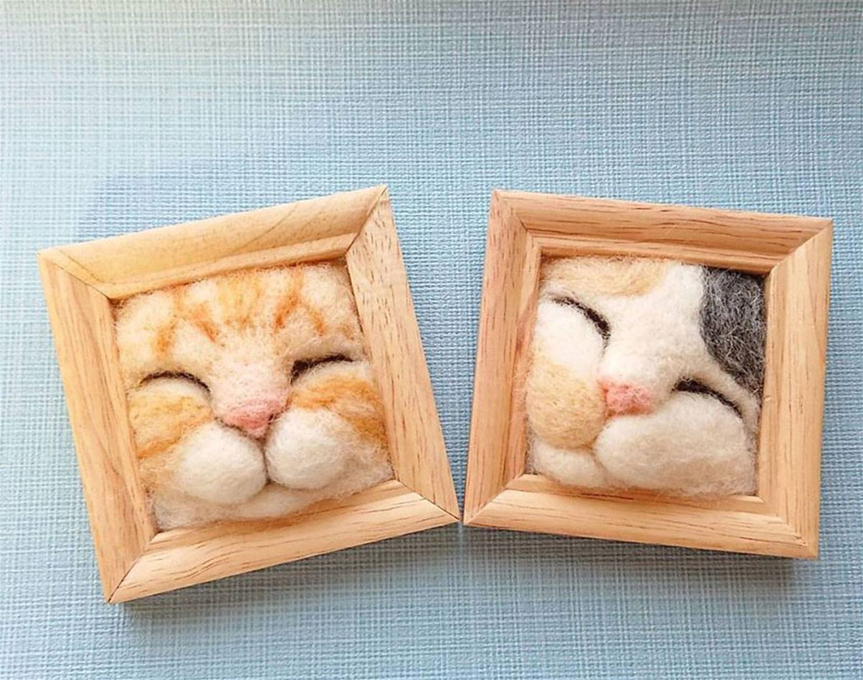 fujita satomi’s curious cats