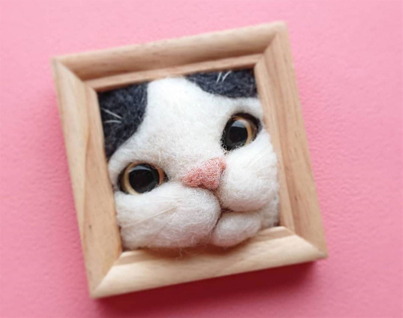 fujita satomi’s curious cats