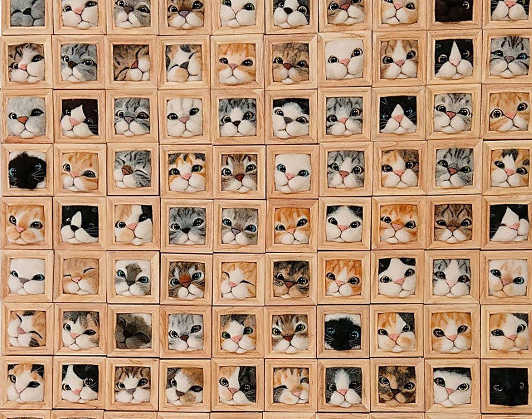 fujita satomi’s curious cats