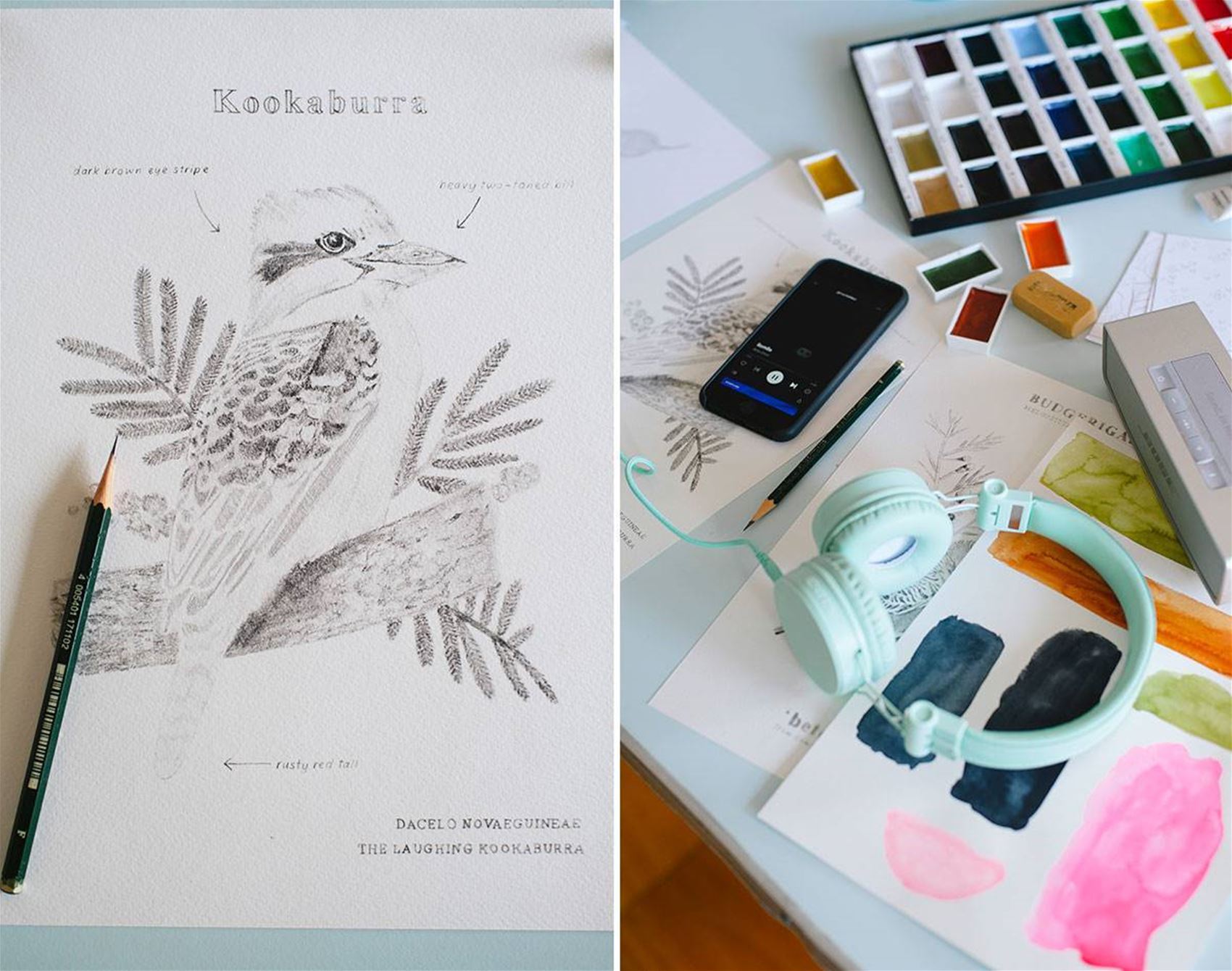 meet cass urquhart, the artist behind the 2021 frankie diary