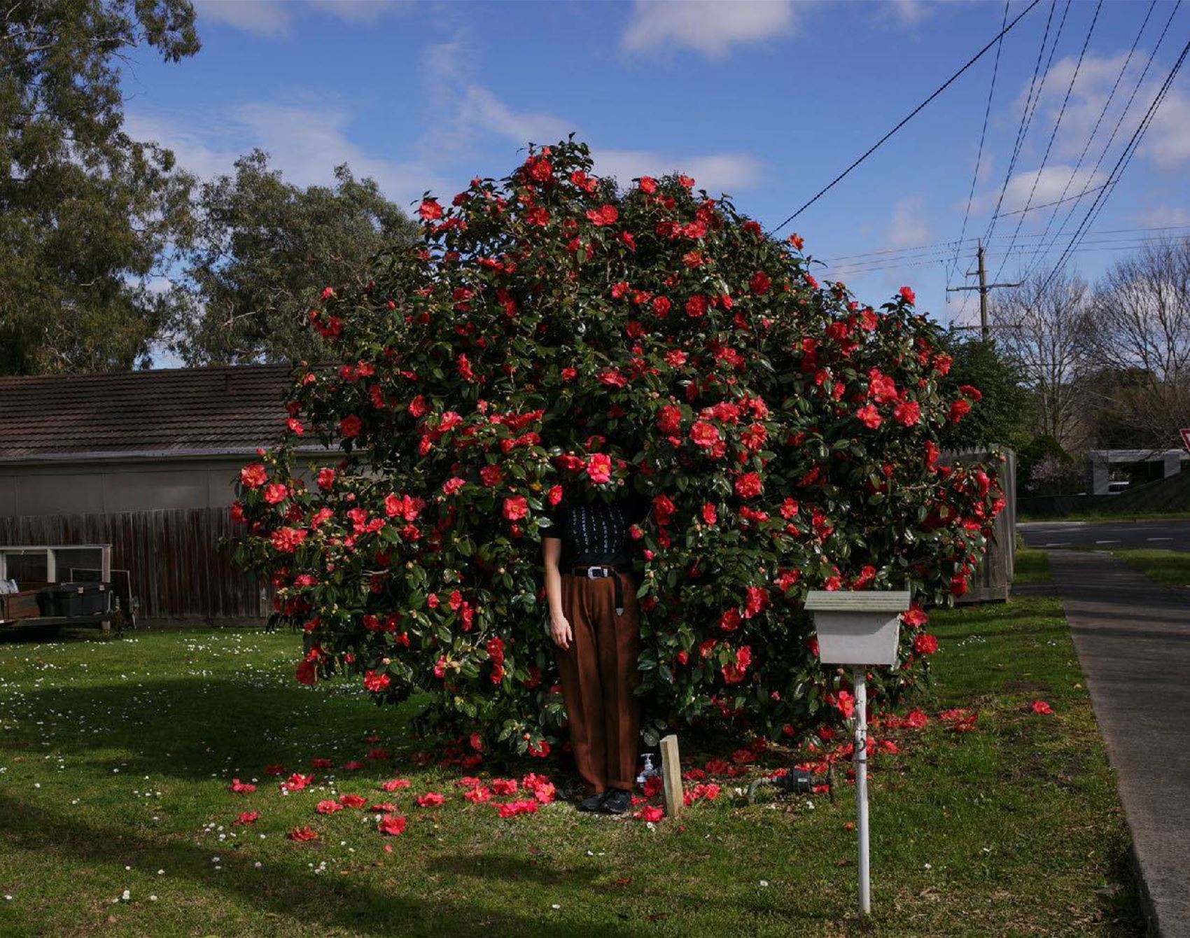 laura may grogan photography interview