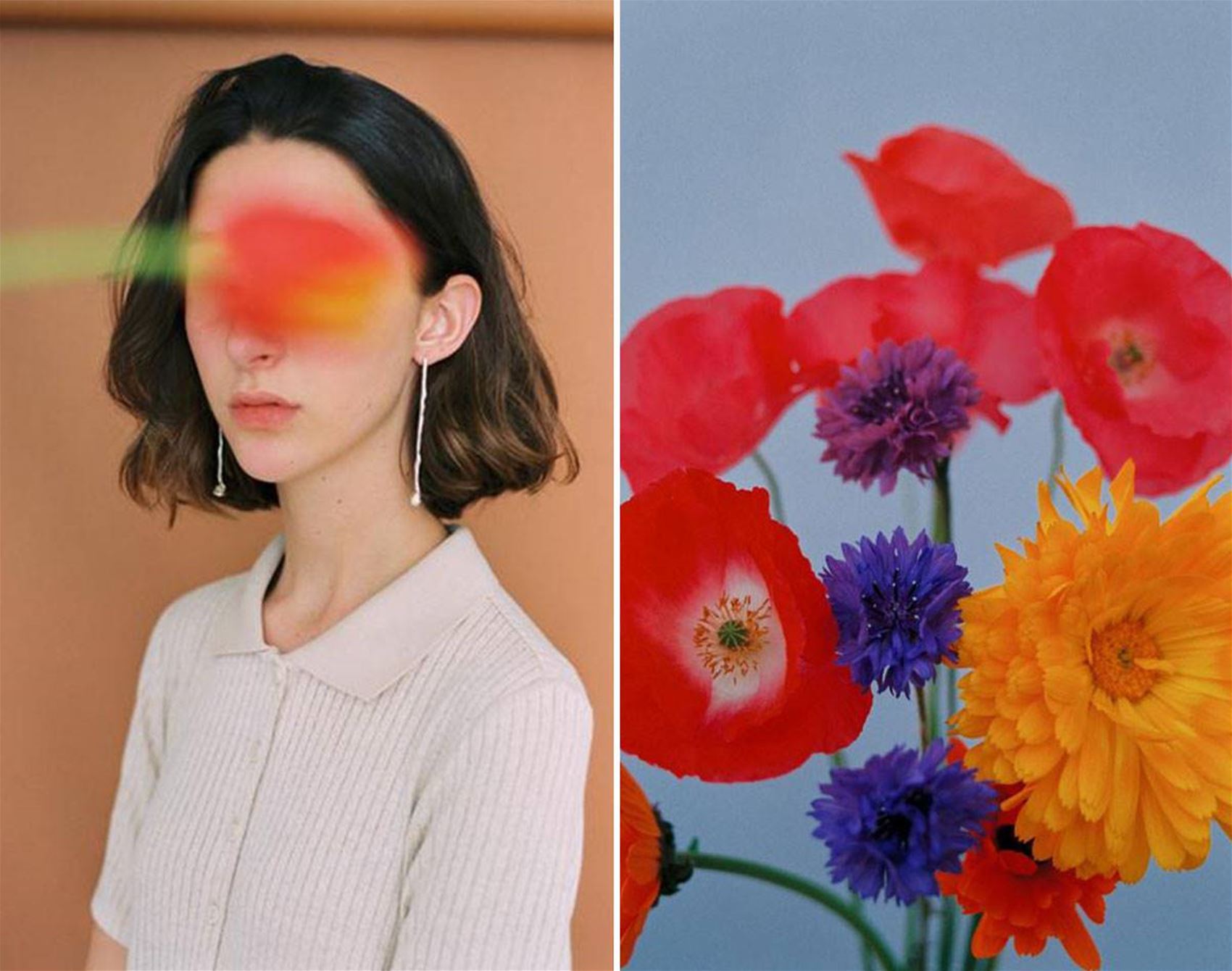 paula codoner’s calming floral photos
