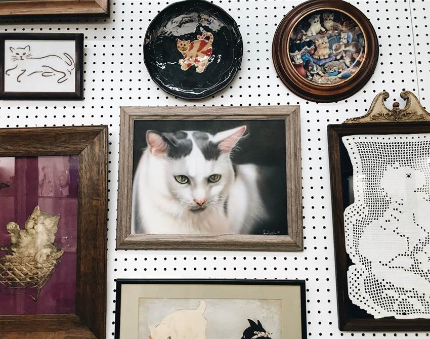 a museum dedicated to cats