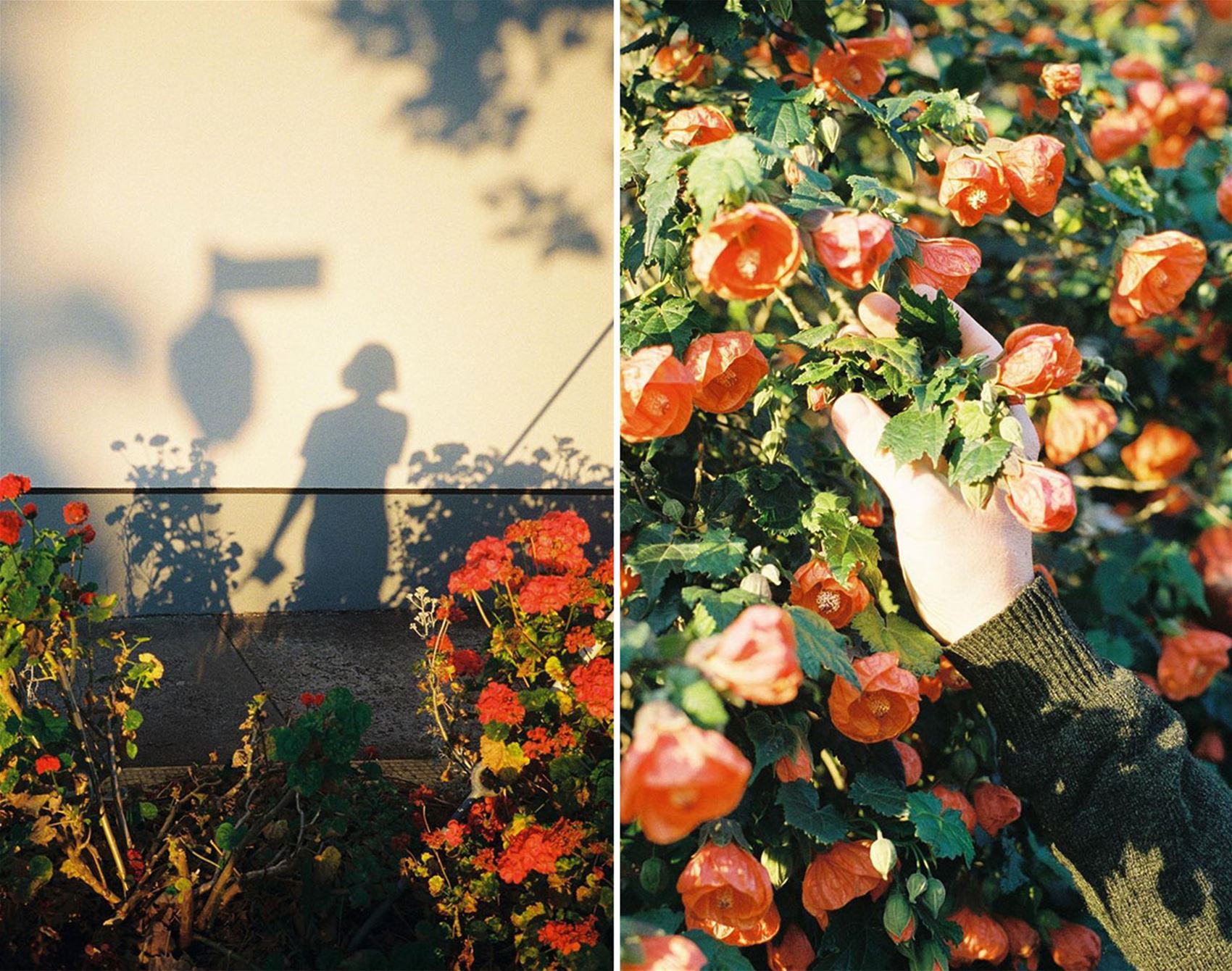 five minutes with photographer nikki lake