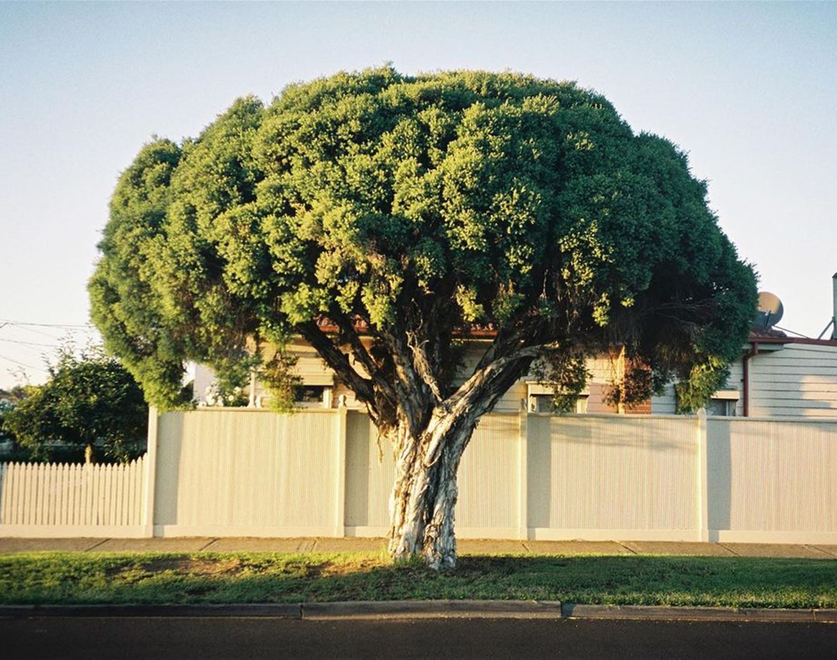 five minutes with photographer nikki lake