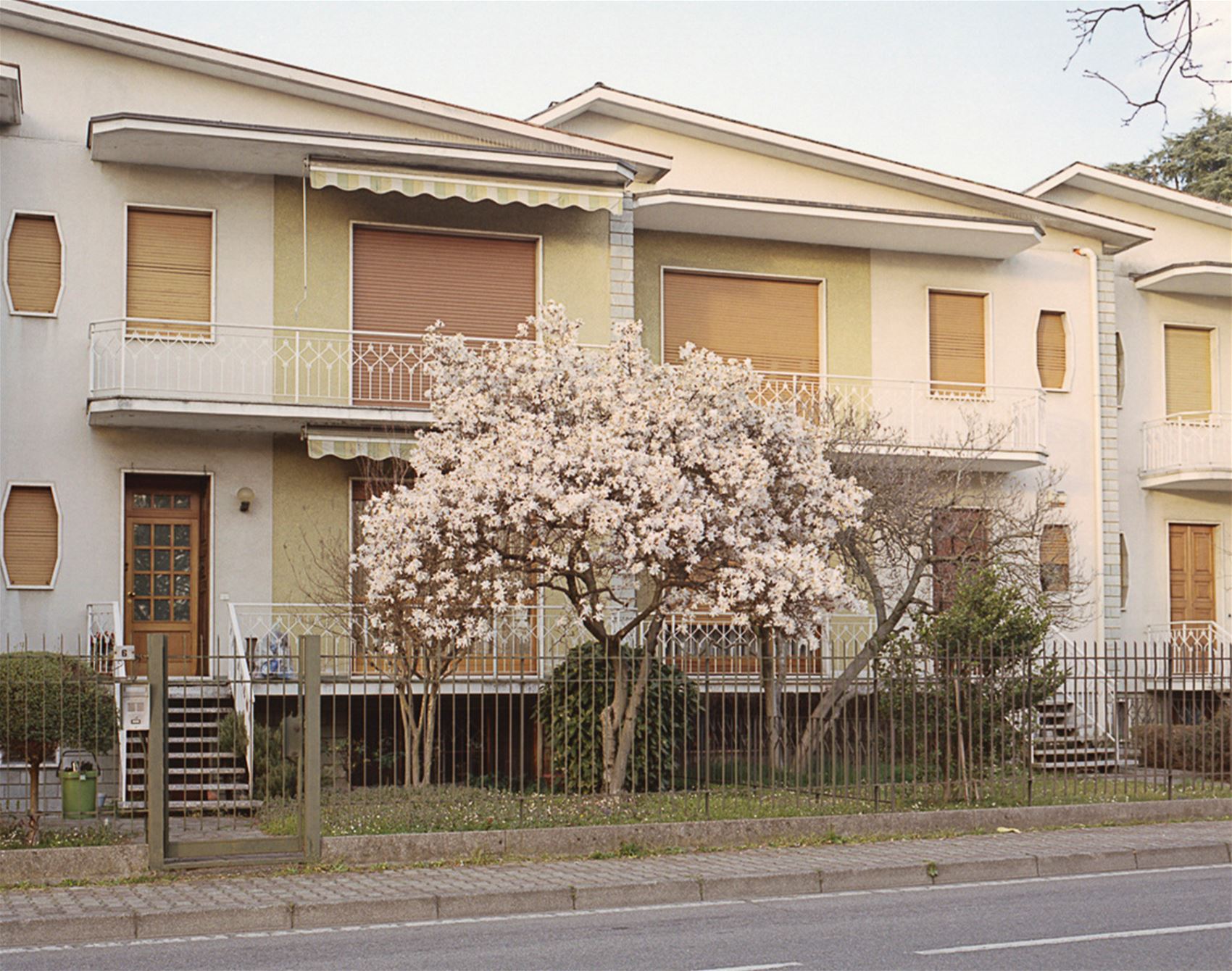 carmen colombo snaps the quiet moments in everyday life