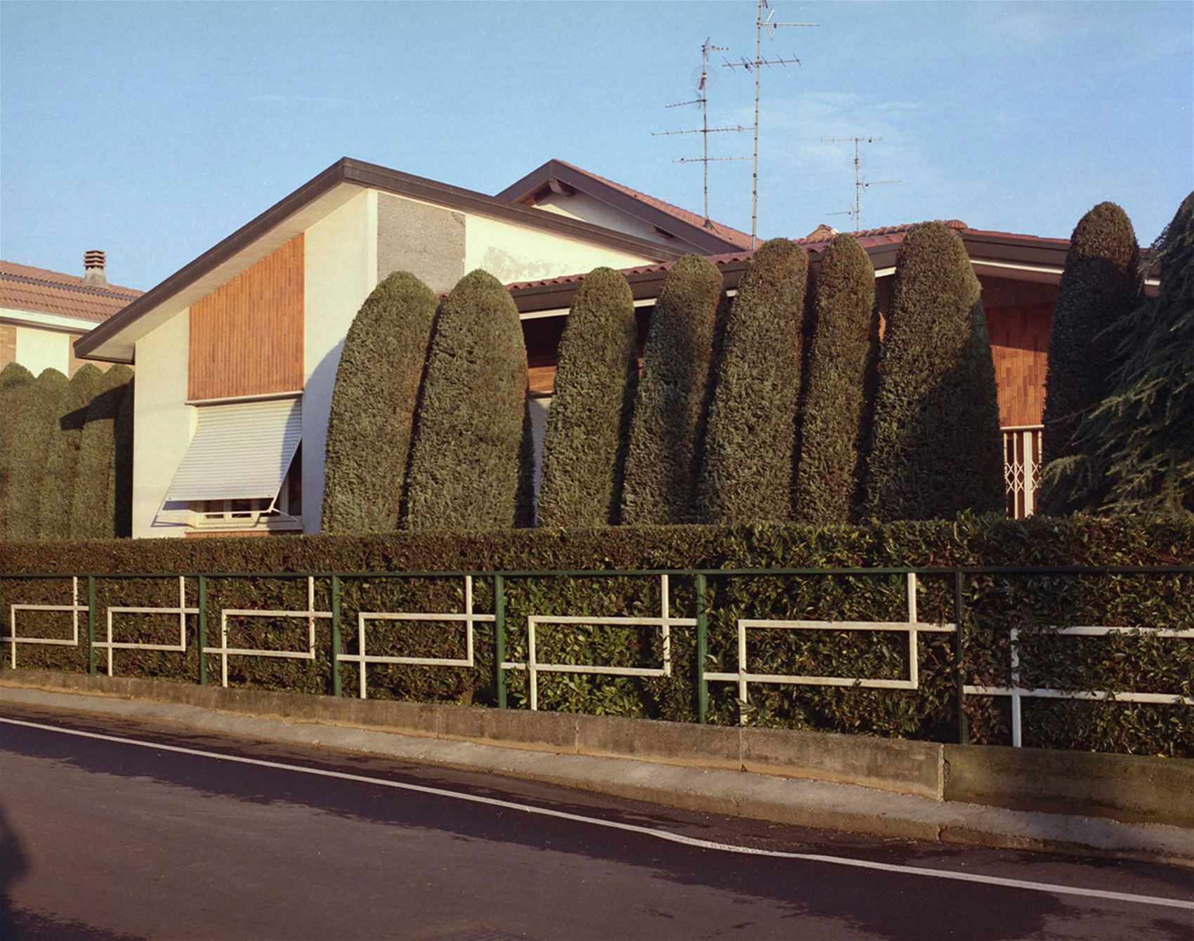 carmen colombo snaps the quiet moments in everyday life