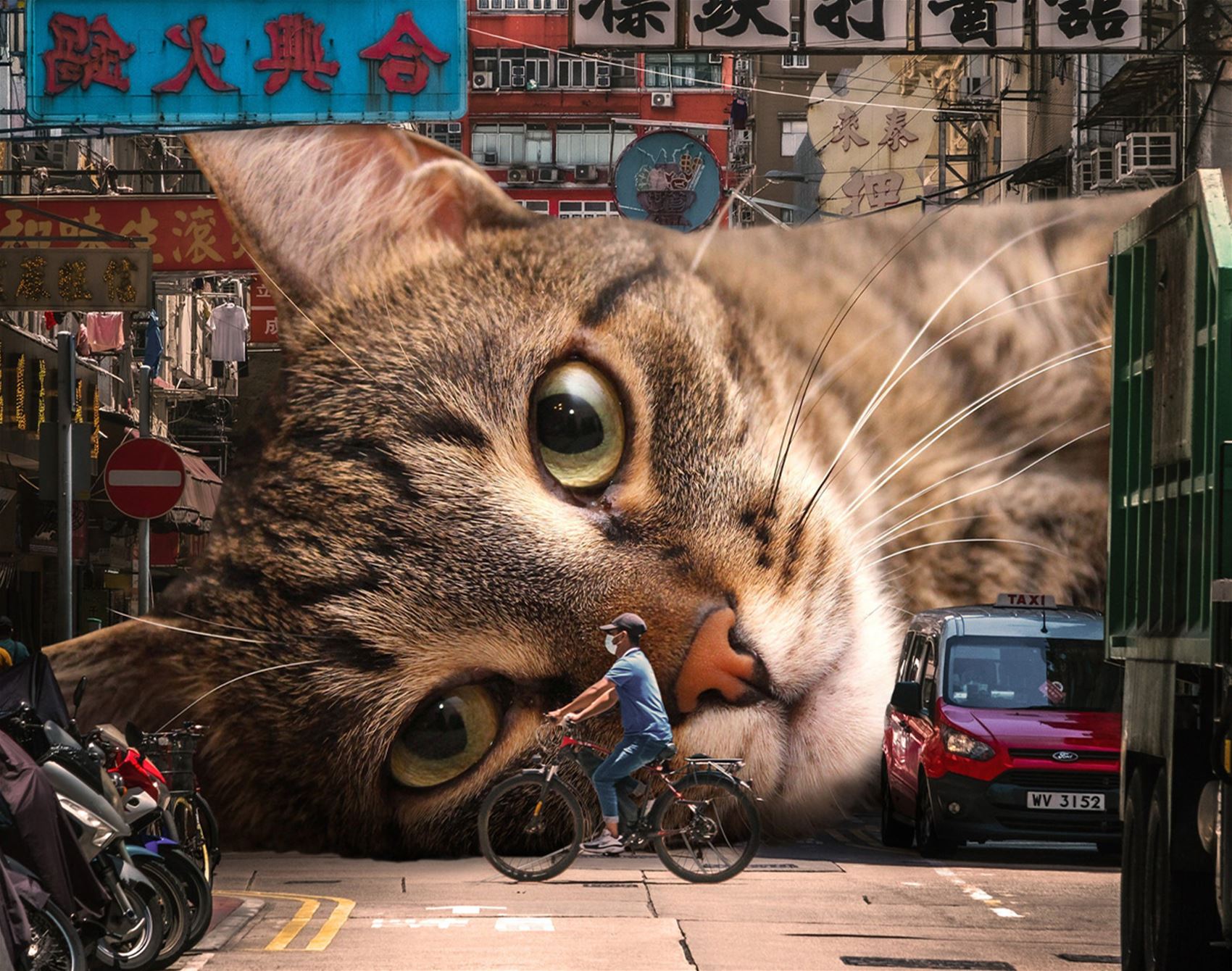 surreal cat collages