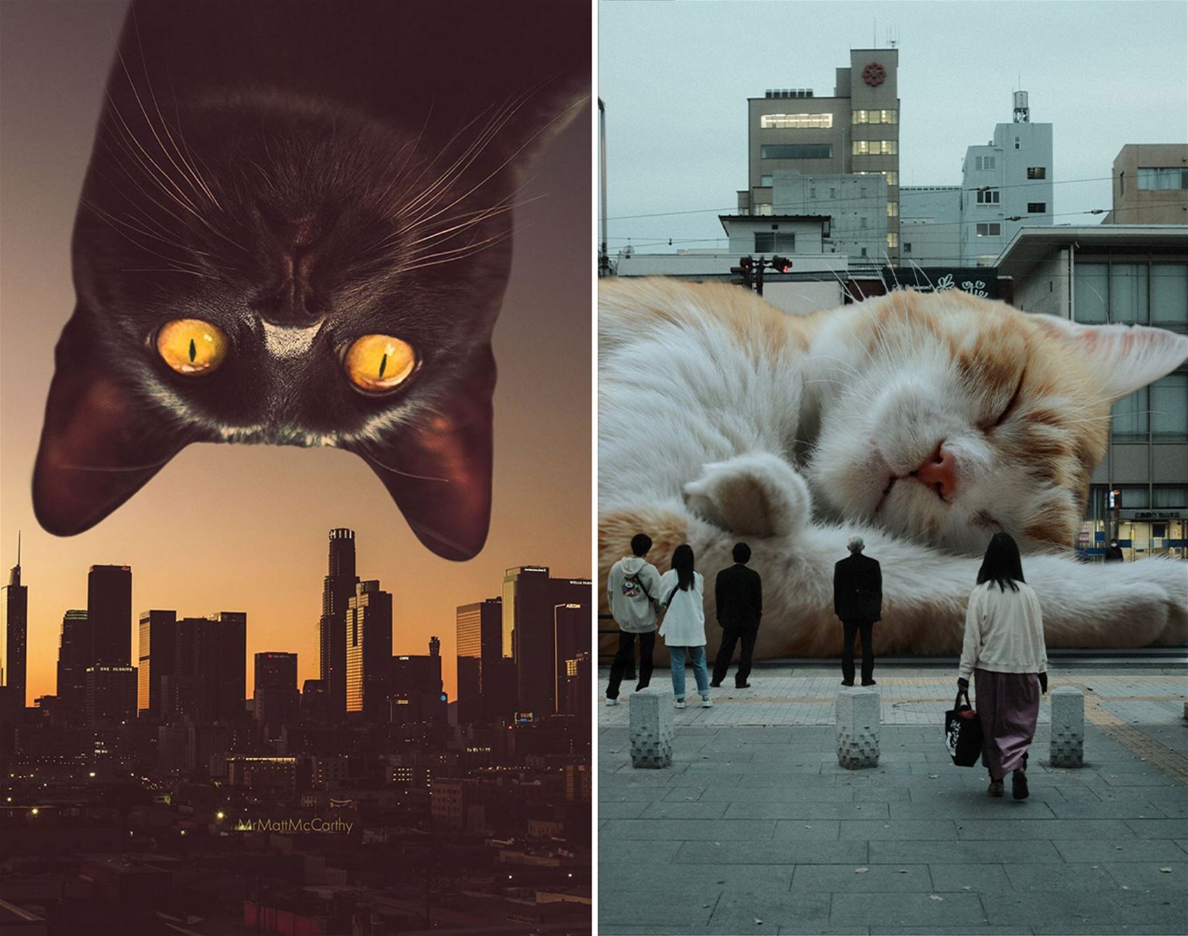 surreal cat collages