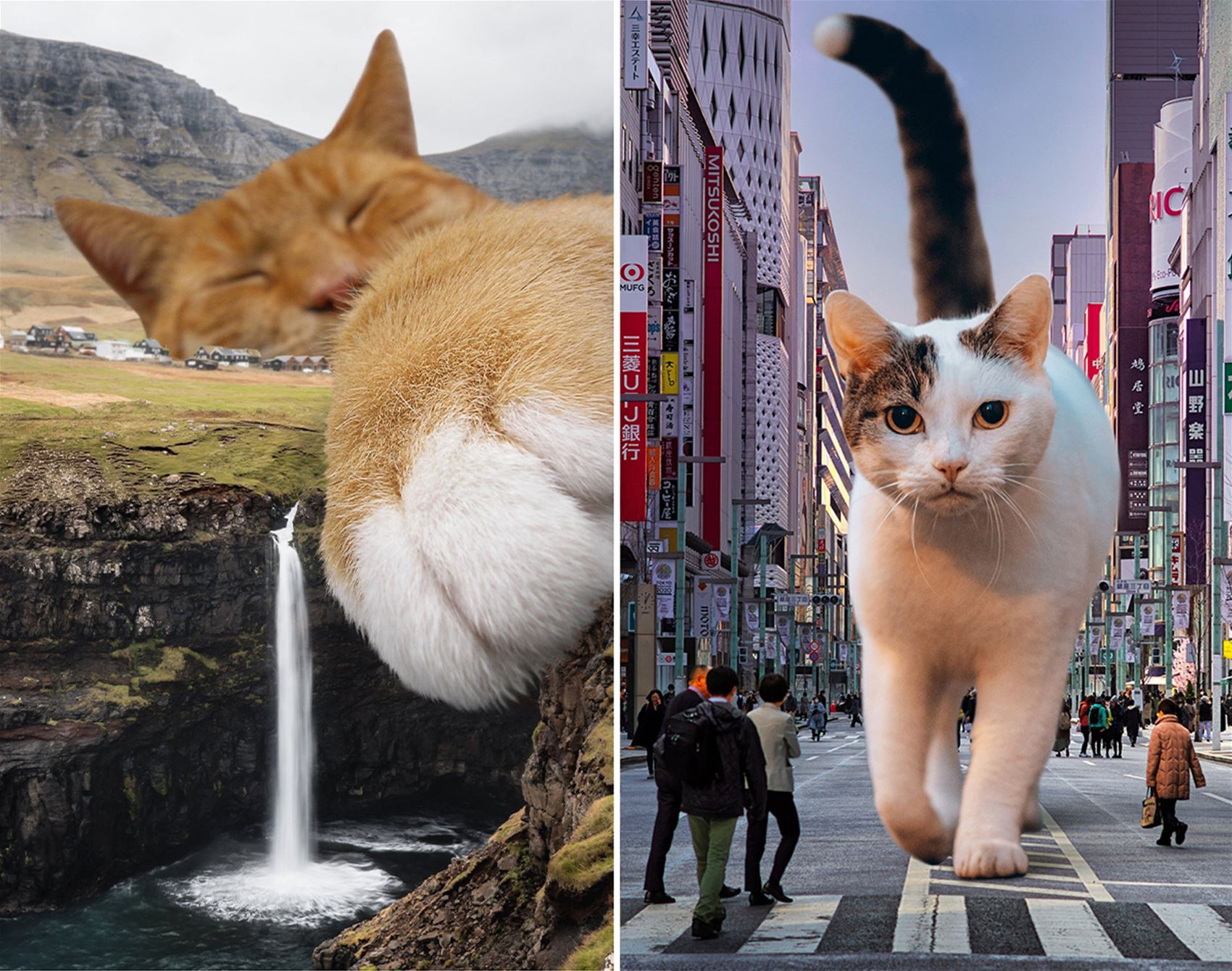 surreal cat collages