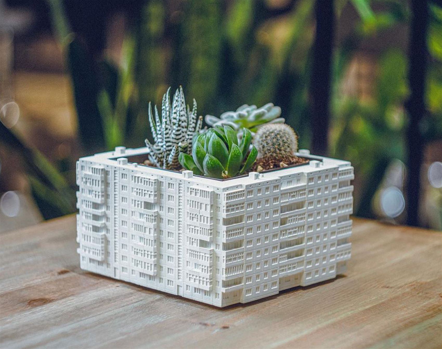 a soviet-era house for your plant