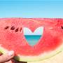16 Healthy Beach Snack Ideas That Are Delicious, Filling, and Easy to Pack