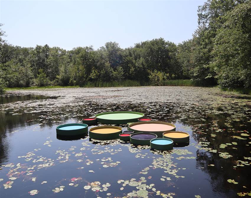 these giant lily pads allow visitors to float among nature