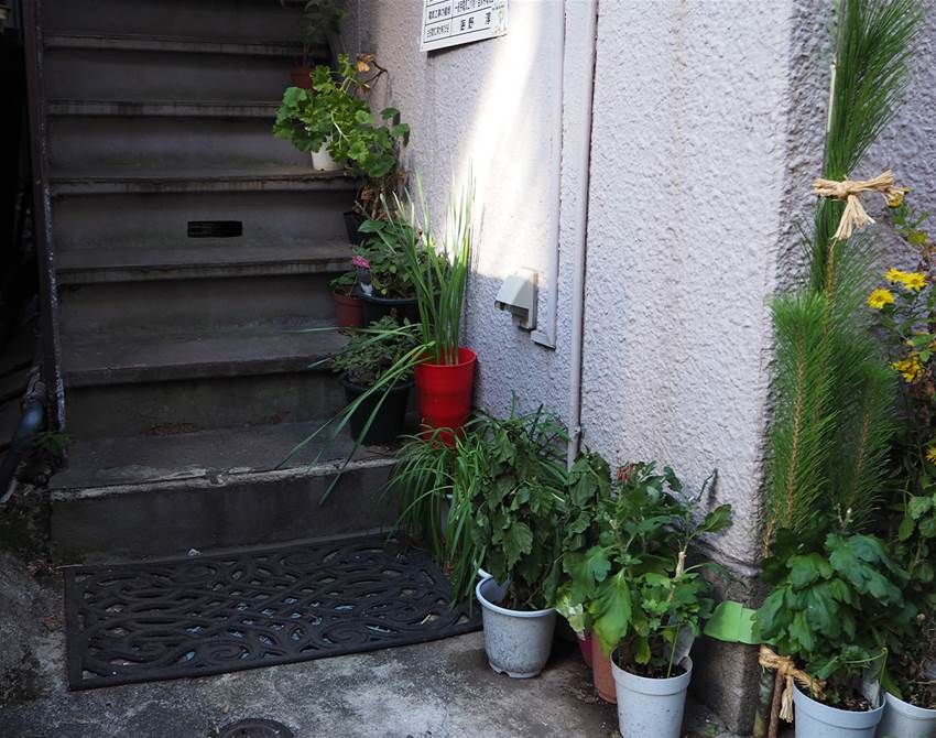 pot plant gardens of japan